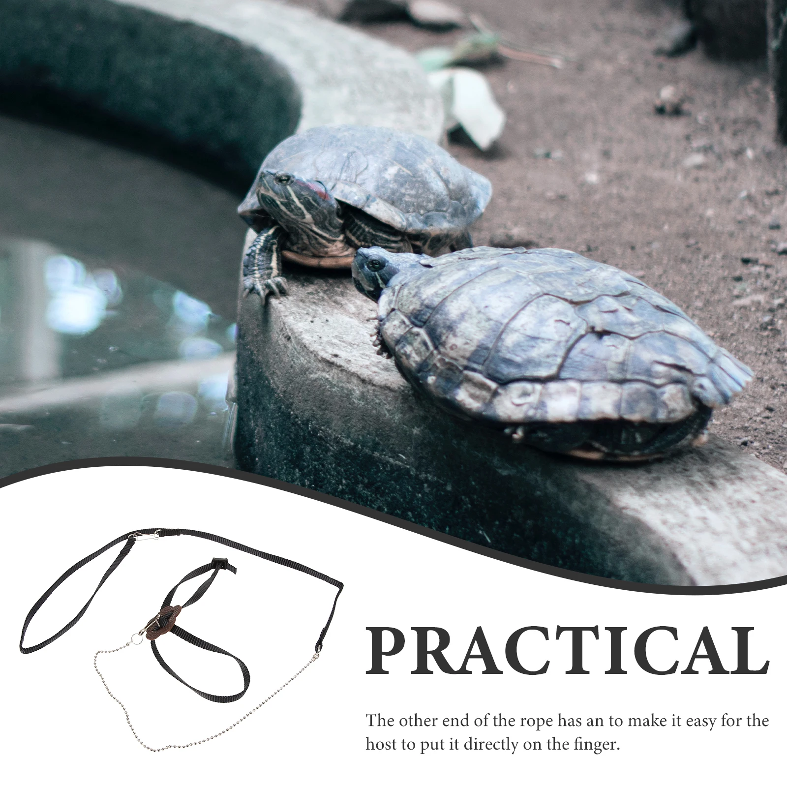 

Faux Reptile Leash Pet Traction Rope Turtle Lizard Training Drag Ring Size S Black Reptile Leash