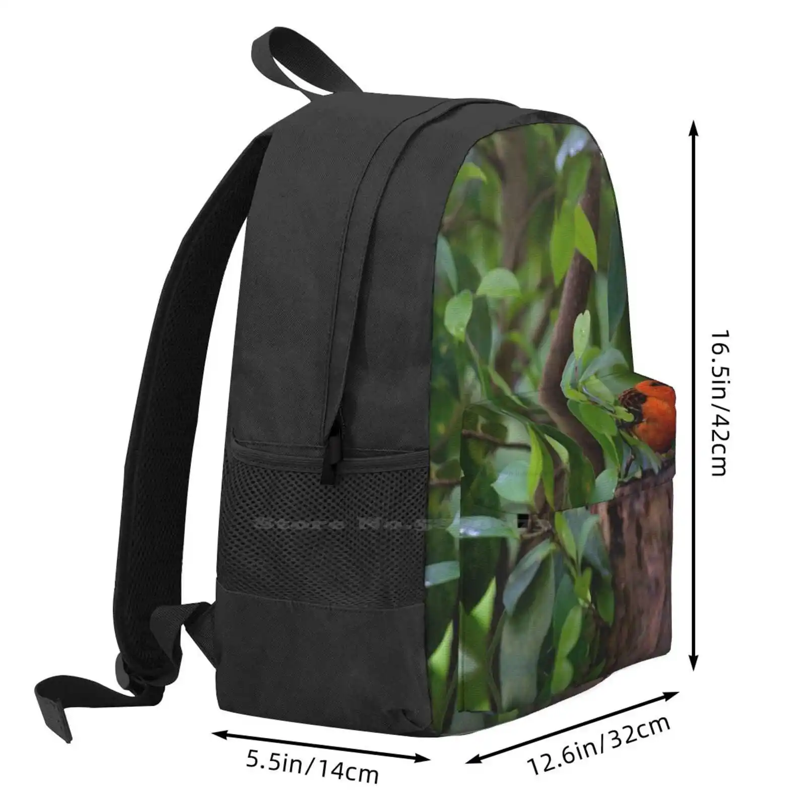 Laptop Travel School Bags for Teens, Red Bird in the Forest, Selva Animais, Descobrir a Natureza, Cores, Verde, Mulheres, Homens