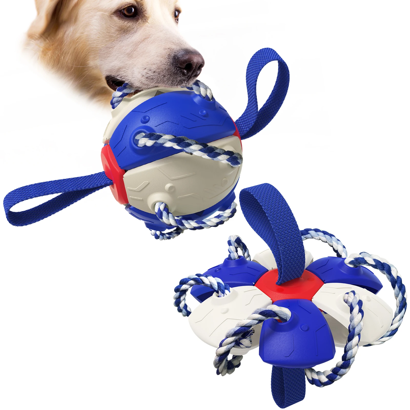 

New Arrivals Outdoor Interactive Toys for Dogs High Quality Durable Wholesale Pet Dog Toys Accessories