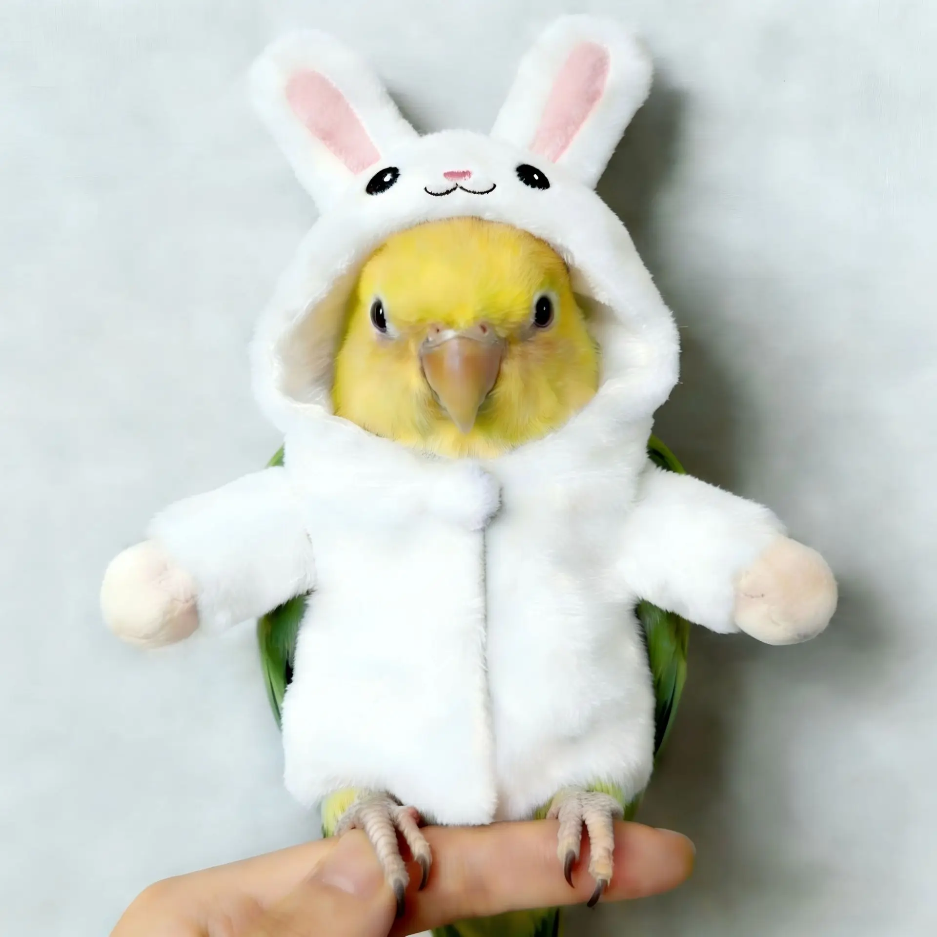 Holiday Festival Pet Costume New Soft Plush Cute Parrot Rabbit Clothes Dress Up Small Pet Apparel Supplies