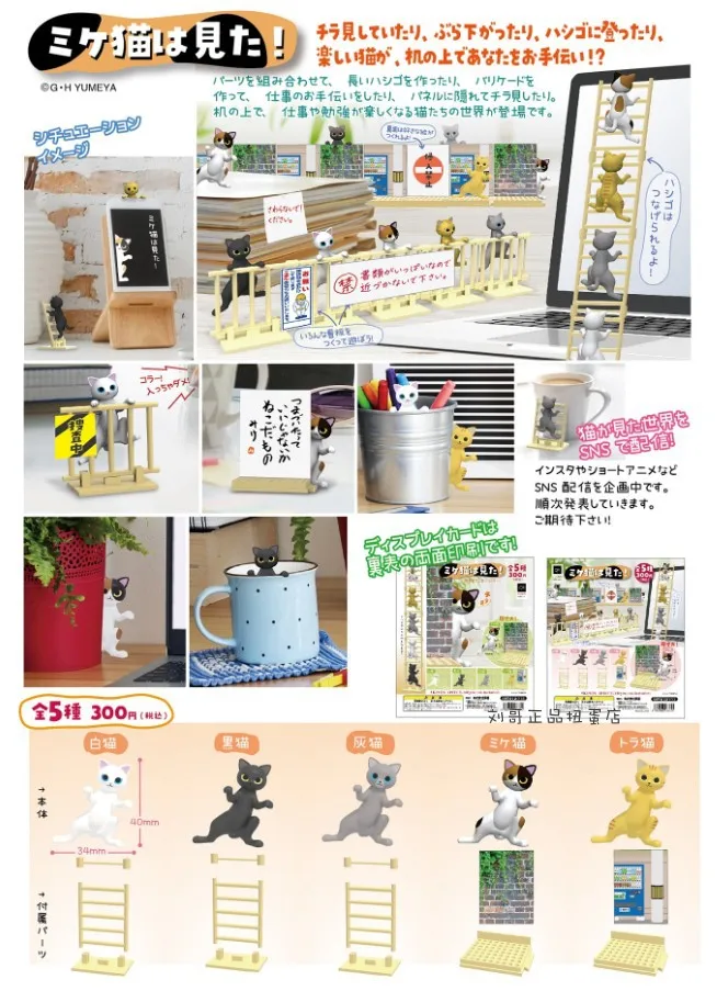 Kawaii اليابان Gashapon لعبة الكبسولات تمثال لطيف القط سلم أنيمي الشكل نموذج مصغر إكسسوارات دمي