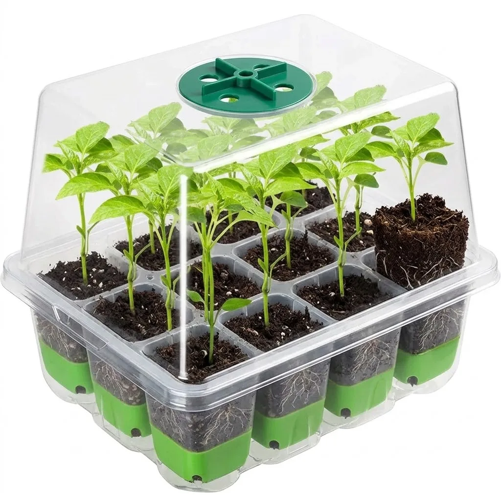 Indoor Garden Greenhouse Germination Box and Growth Transparent Cover 12 cell Seedling Starter Tray Adjustable Humidity Perfect