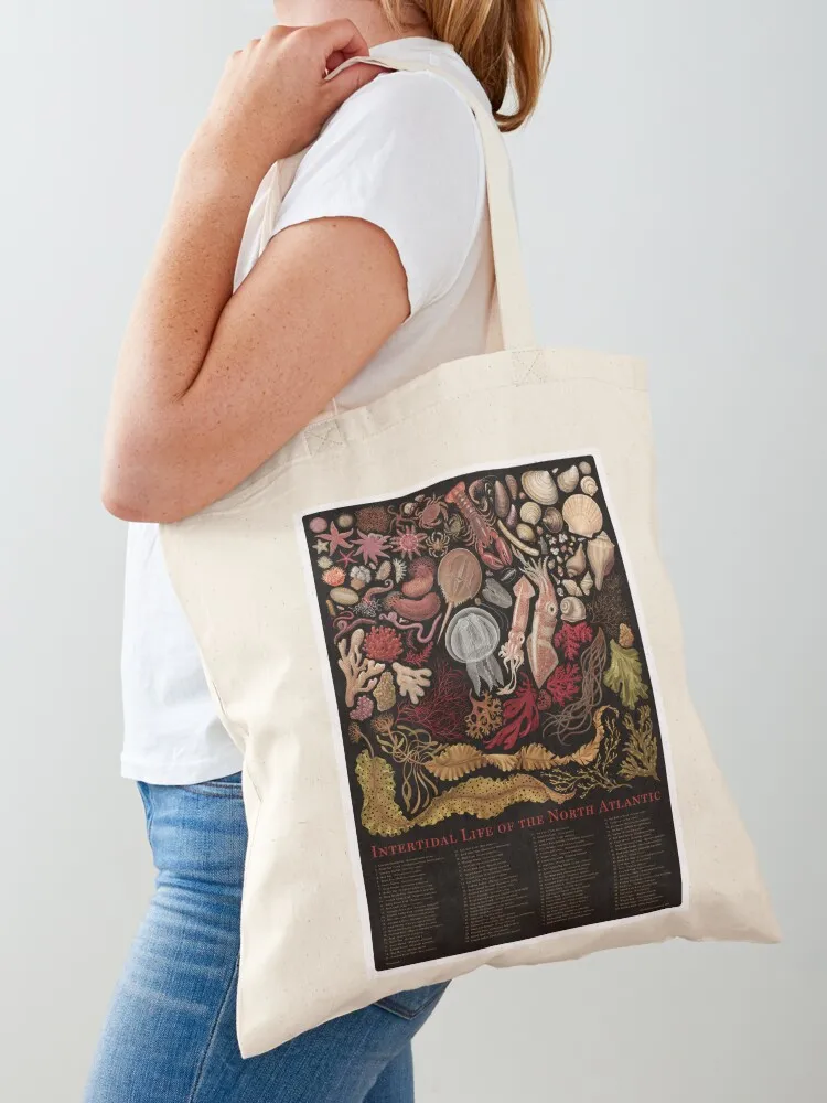 حقيبة تسوق Intertidal Life of the North Atlantic Tote Bag، حقيبة حمل لطيفة قابلة للطي #2