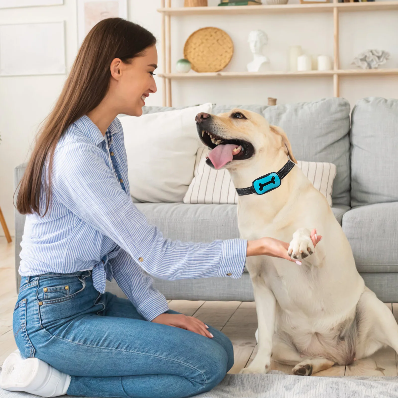 Collar de entrenamiento para perros, dispositivo antiladridos, recargable por USB, resistente al agua, vibración para dejar de ladrar