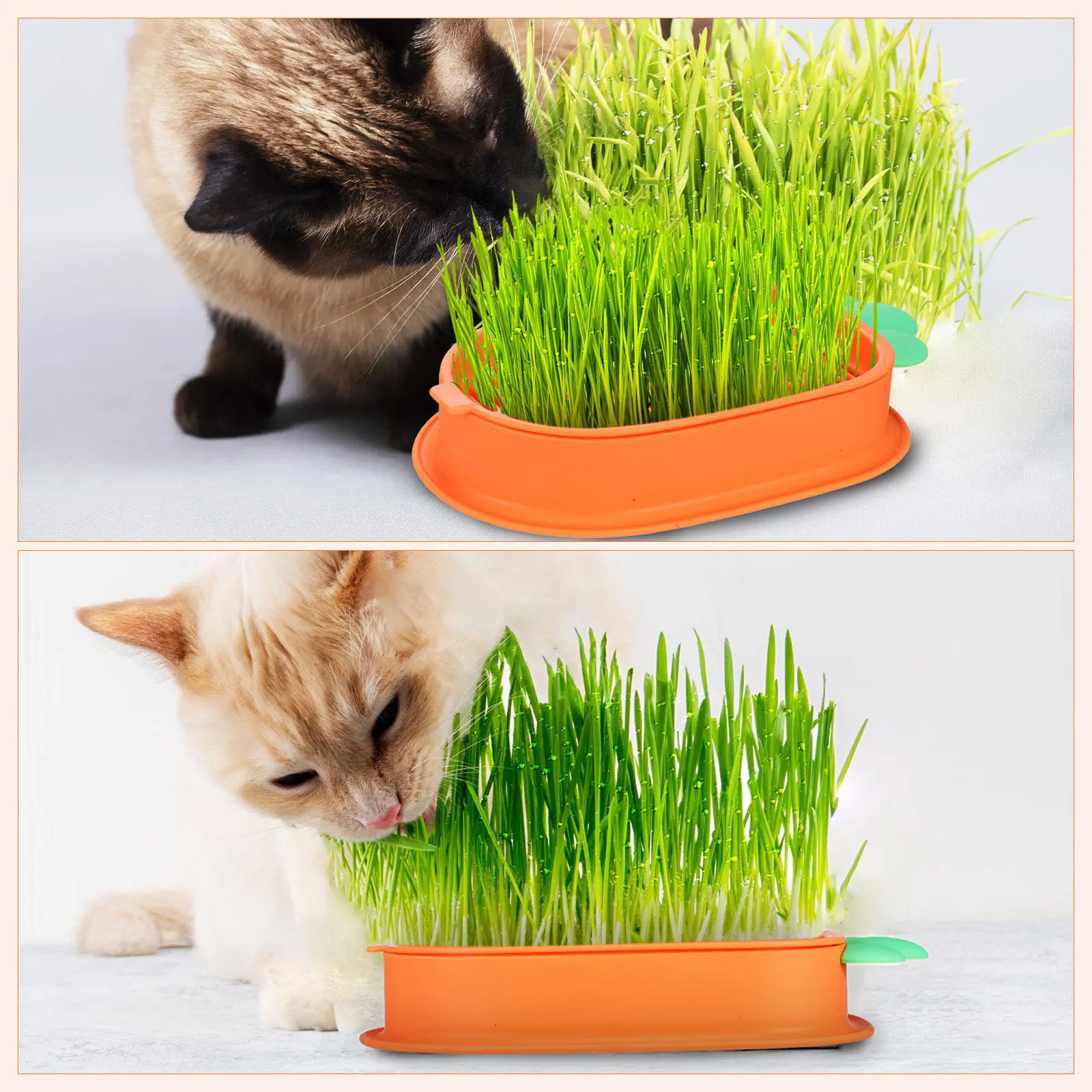 

2Pcs Cat Grass Planting Box Hydroponic Carrot Shape Plastic Soilless Planter Portable for Pet Health