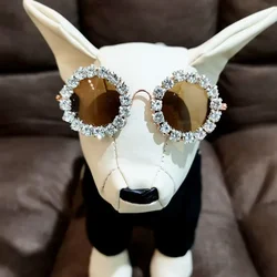 Occhiali da sole per cani da compagnia Occhiali da sole con strass Decorazione per fotografia di gatti Occhiali da sole alla moda Accessori Prodotti per animali Occhiali da sole per cuccioli