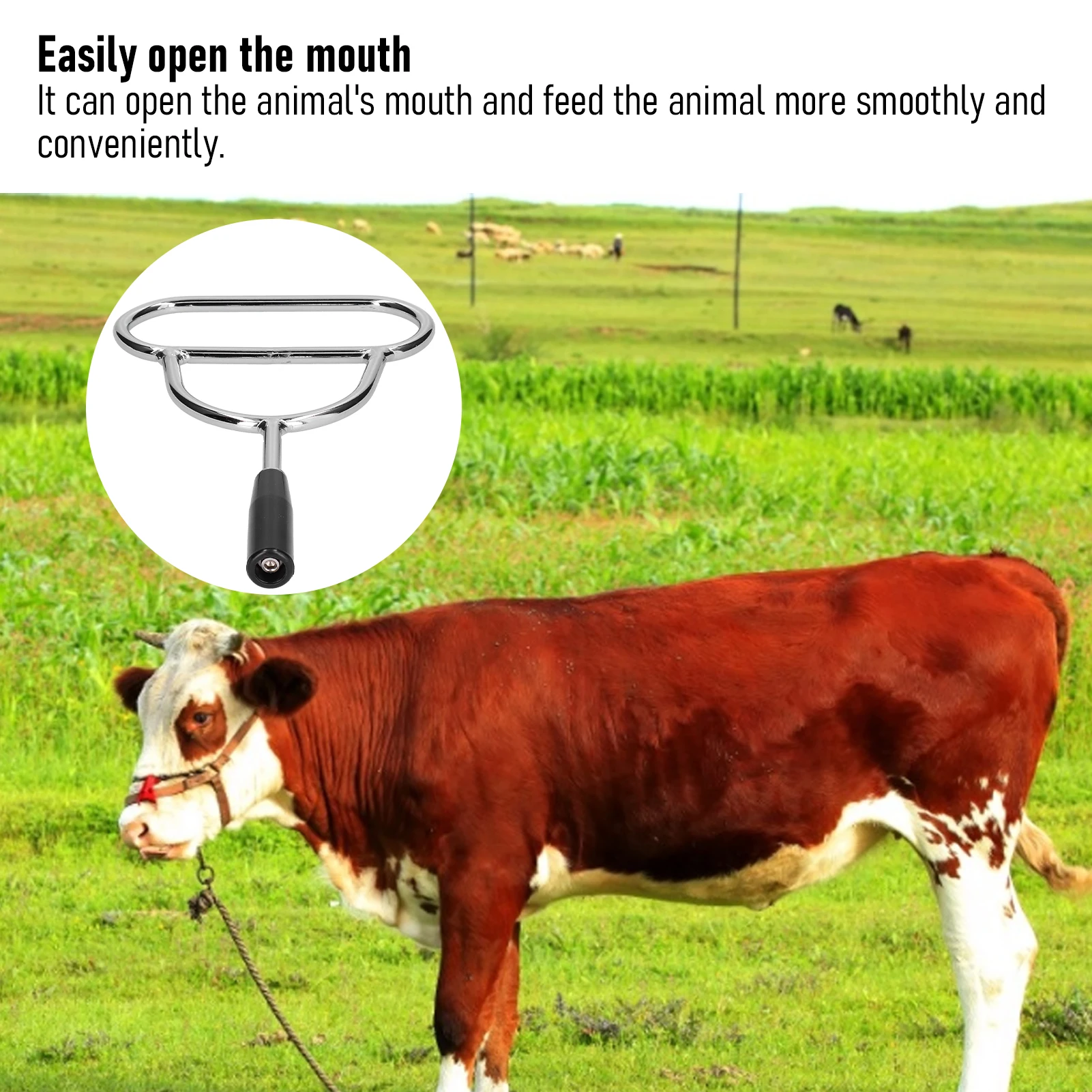 Veterinary Mouth Opener Medication Gastric Lavage Animals Mouth Gag for Animal Husbandry Breeding Industry Animals Mouth Gag