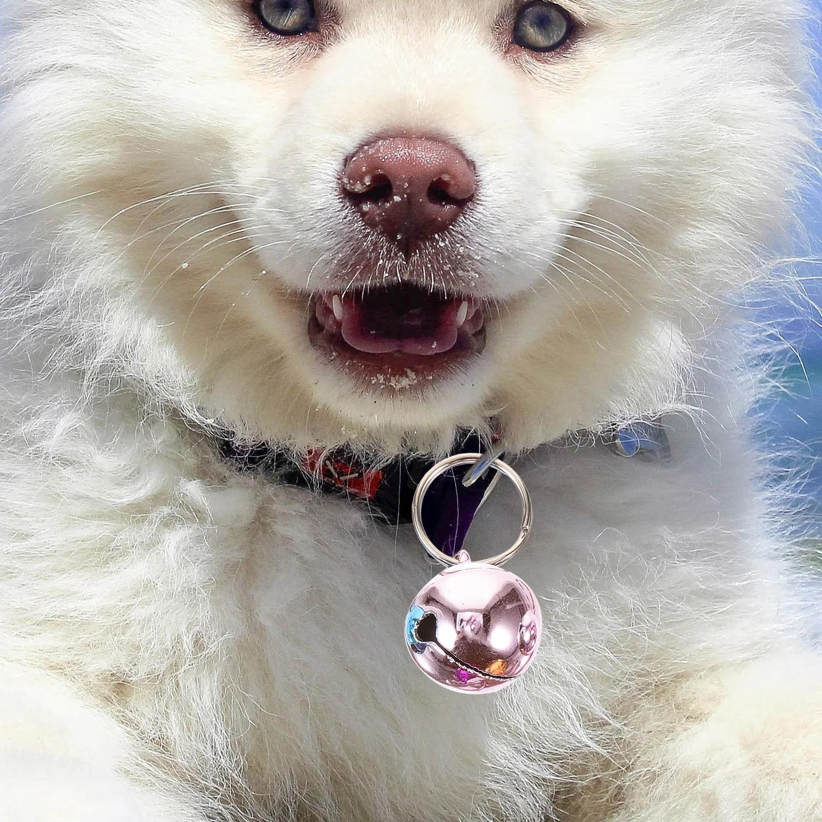 

6 Pcs Bell Accessories Small Pet Pendant Bells Stainless Steel for Dog Cat Collar