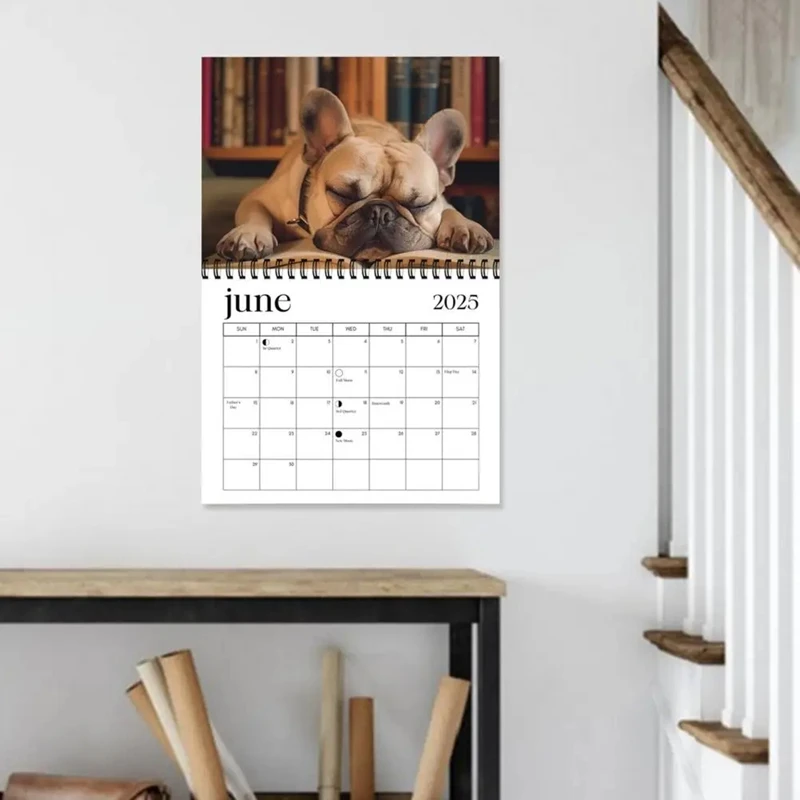 Calendrier mural drôle avec motif de chien endormi, rappel de vacances, maison et bureau, outil de gestion du temps, licence 03, 2025