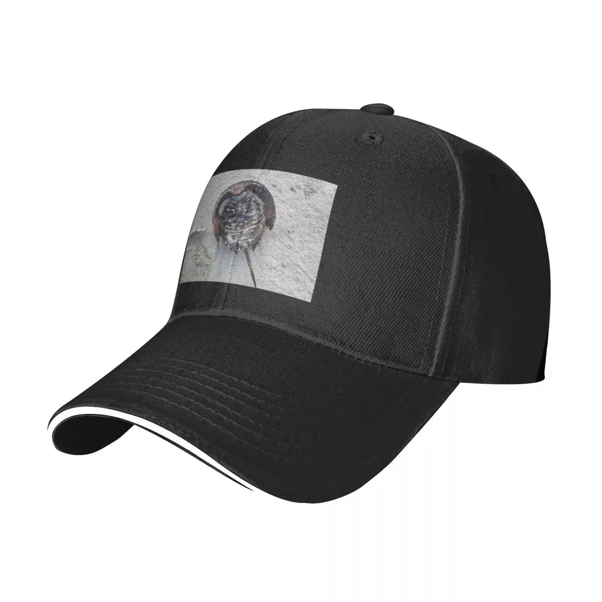 horseshoe crab Baseball Cap Anime Golf Wear Men's Caps Women's