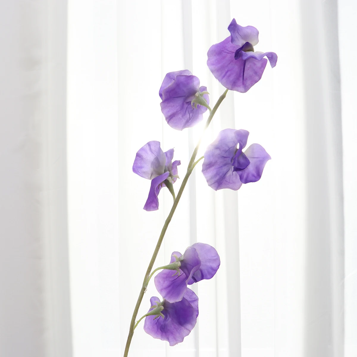 

Decorations Simulated Pea Flower Home Simulation Flowers Artificial Stems Violet Spring for Sweet