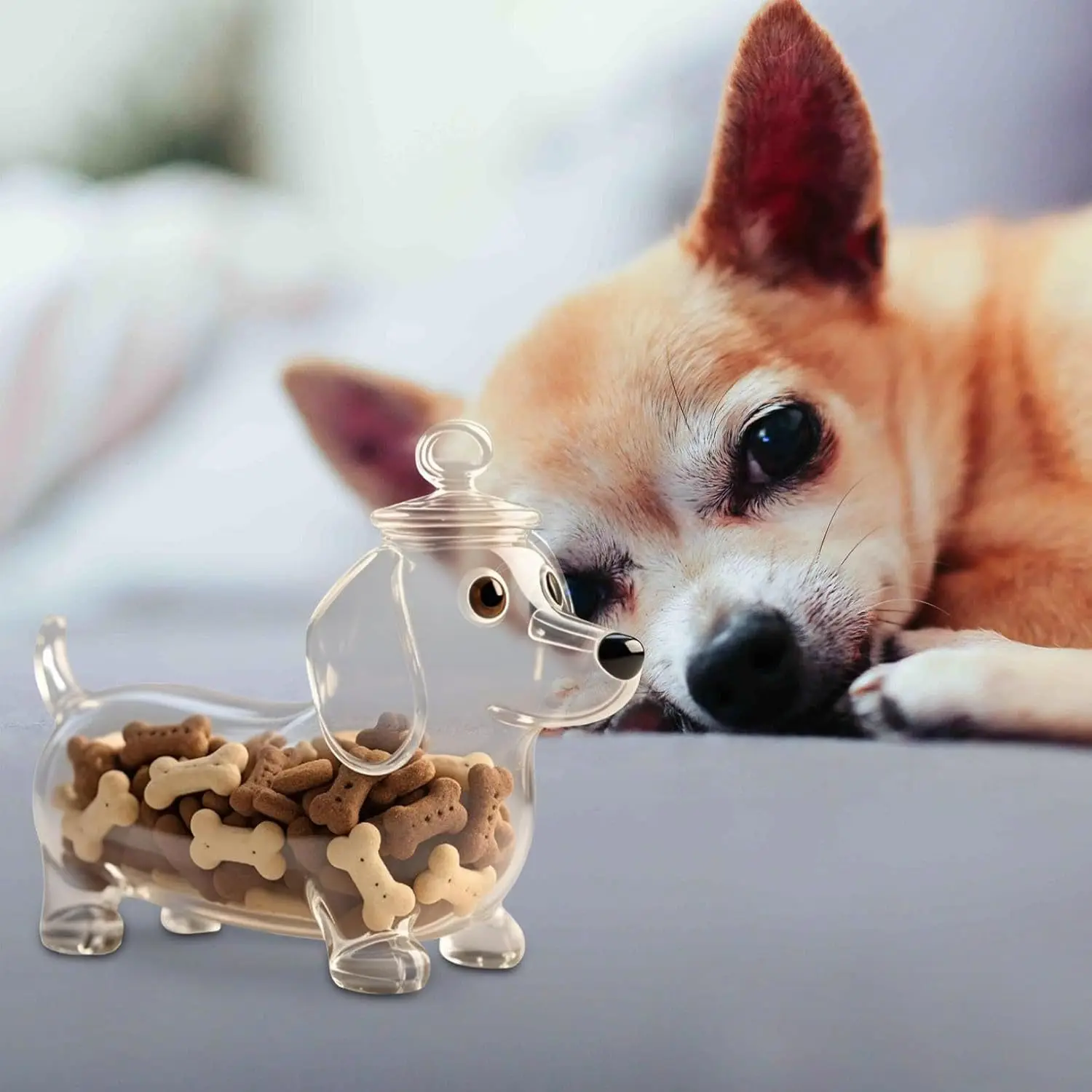 

Sausage Dog Food Storage Jar Transparent Glass Food Storage Jar Cute Sausage Dog Home Storage Organizer