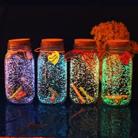 10g Glow In The Dark DIY Luminous Party Super Luminous Particle Pigment Wishing Bottle Fluorescent Particles Gift Decoration 2