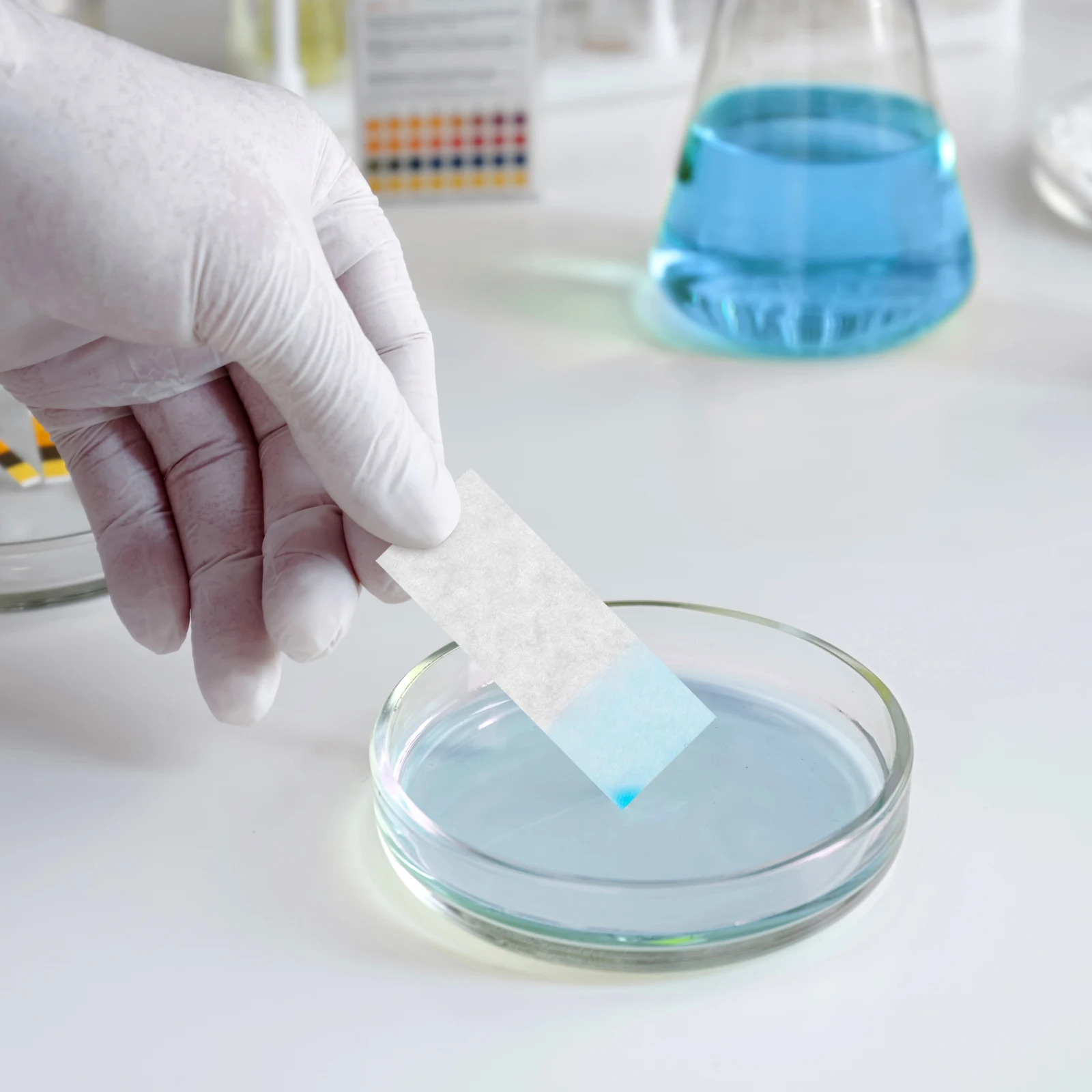 

200pcs Chromatography Strips Test Strips For Experiment Laboratory Paper Blotting Paper For Labs Chemistry Experiments Water