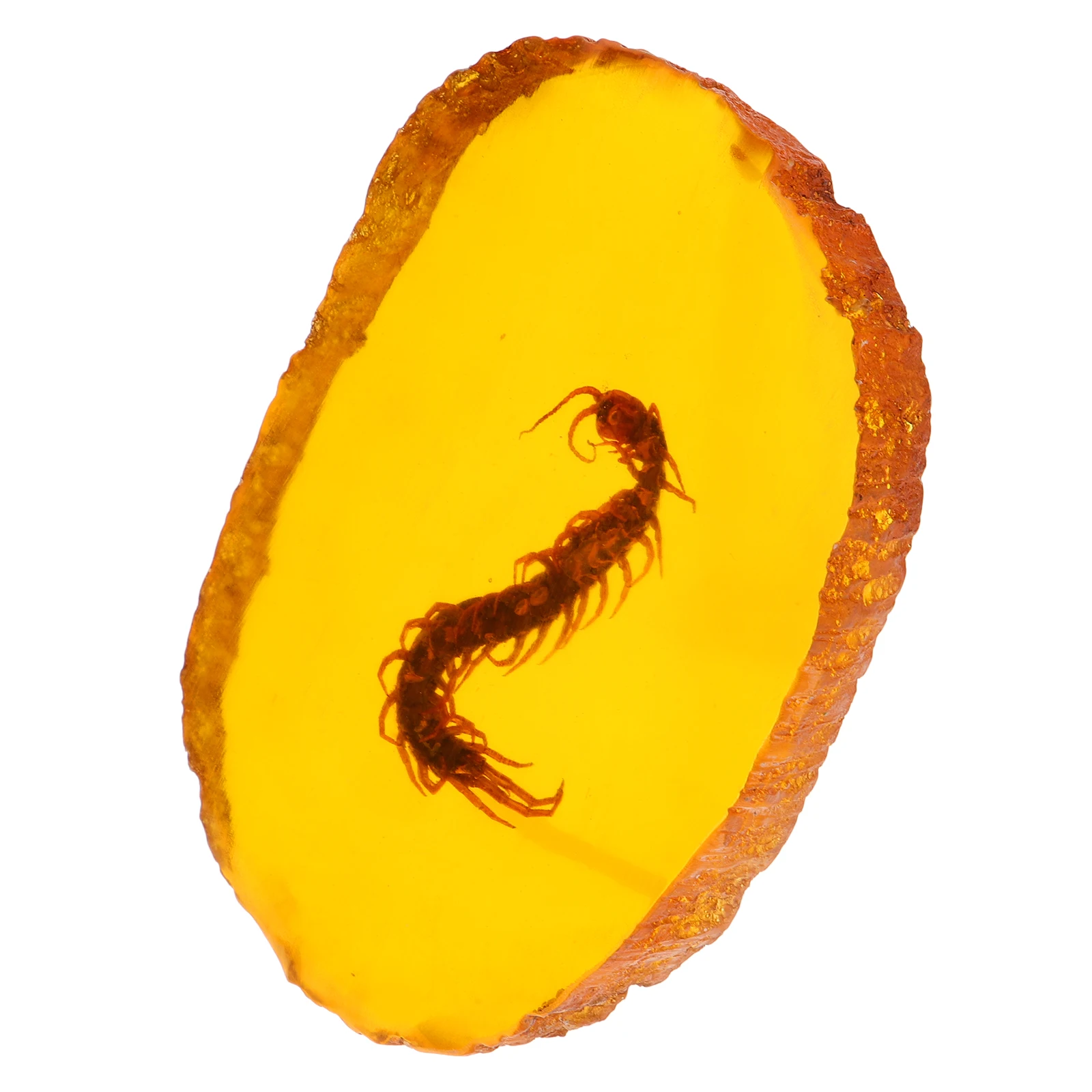 

Insect Amber Pendant Stone Decor Necklace Ornament Artificial Pendants Specimen Beads