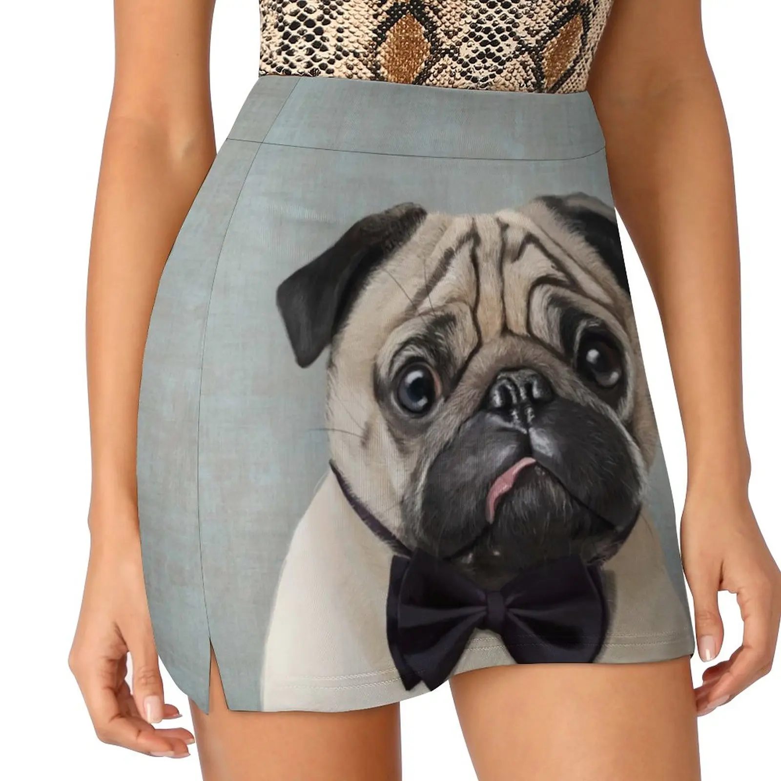 Mr Pug Women's skirt Mini Skirts A Line Skirt With Hide Pocket Light Blue Pet Dog Carlin Cute Pug Pug Art French Pug