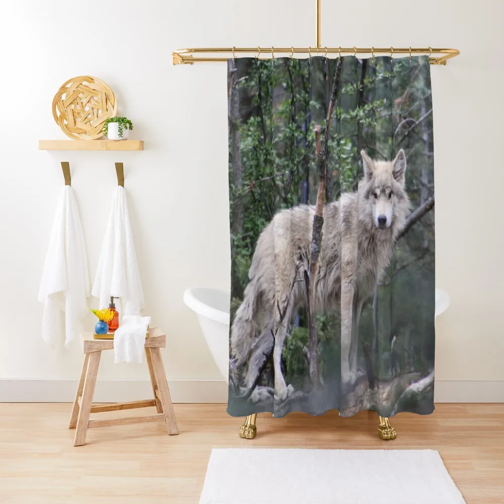 

White Wolf Shower Curtain Cute Shower Transparent Bathroom Shower Curtain