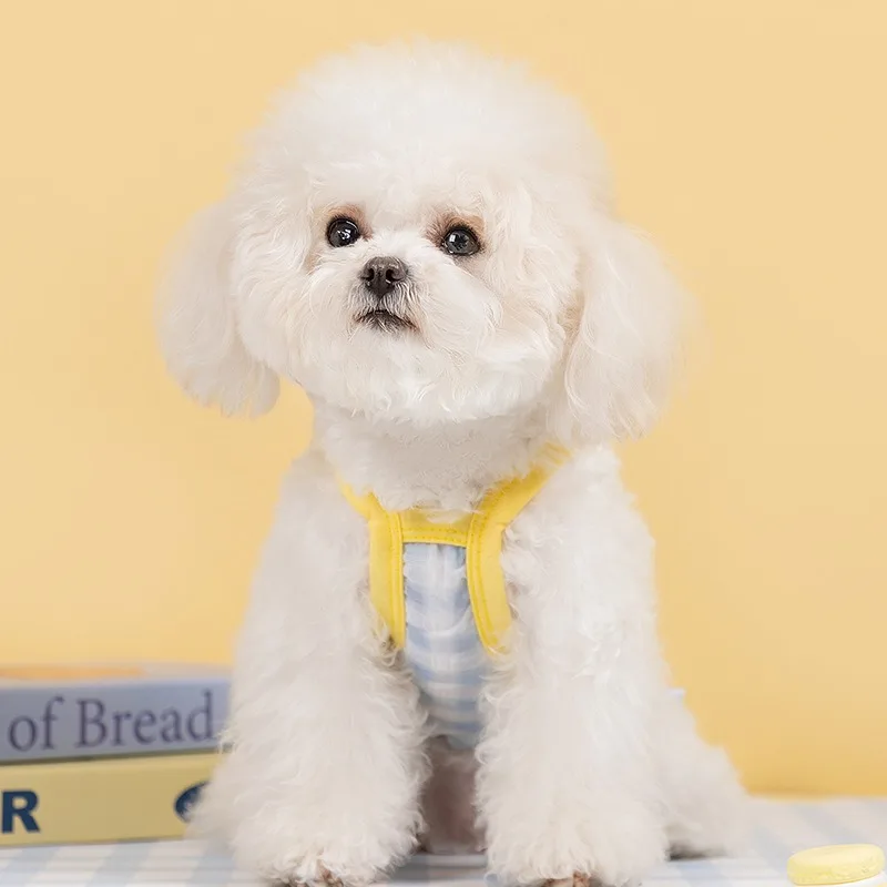 Gaun Gambar Beruang Lucu Pakaian Anak Anjing Musim Semi Gaun Putri Teddy Jaring Bersirkulasi Rok Halter Kartun Kotak-kotak Macaroon Hewan Peliharaan