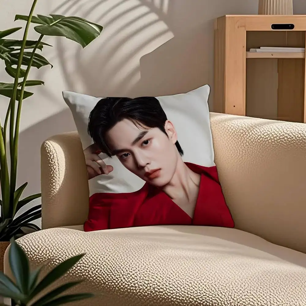 

Song K-K-Kang Pillow Case Comfort Sofa Bed Silky Elegant Invisible Zipper Custom Decorative Cushion Cover