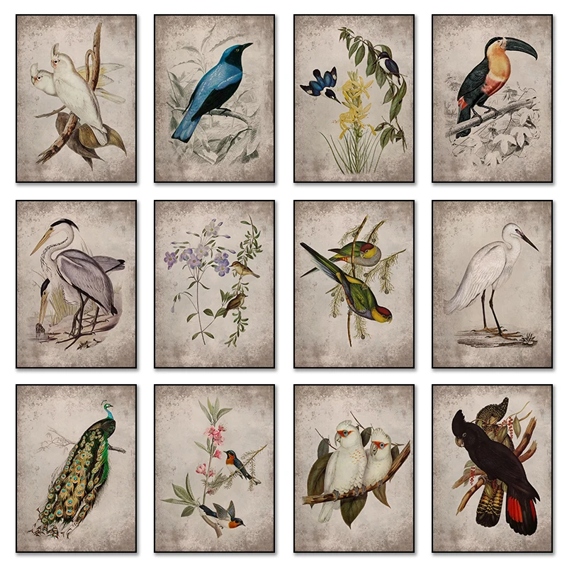 Vintage Toucan Peacock Bicheno Parakeet Canvas Painting Bird Bees and Rose Flower Posters Prints Wall Art Picture Home Decor