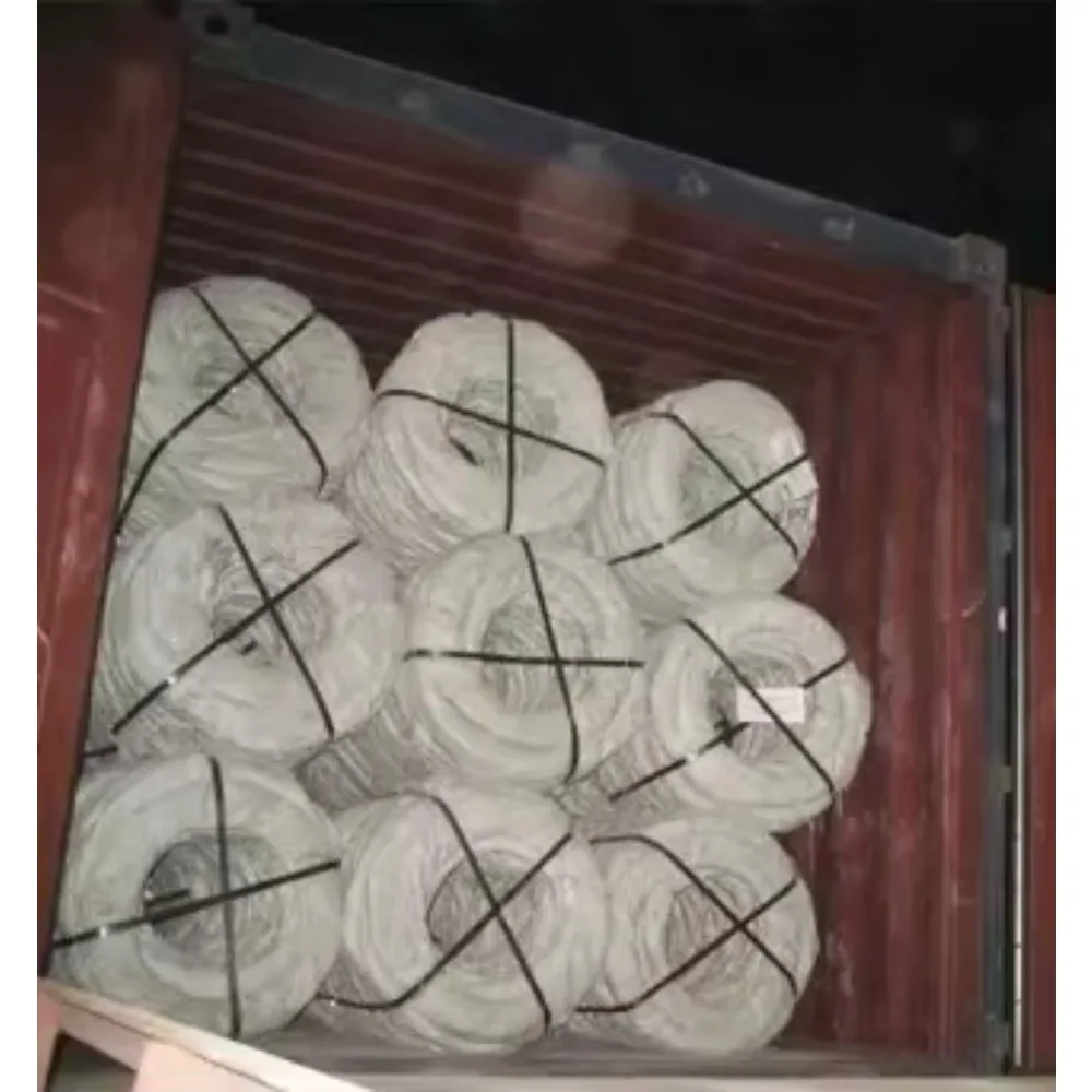 Penjualan Panas Tali Berduri Pelindung Keselamatan/Kawat Berduri Pelindung Keselamatan/Kawat Berduri Pisau