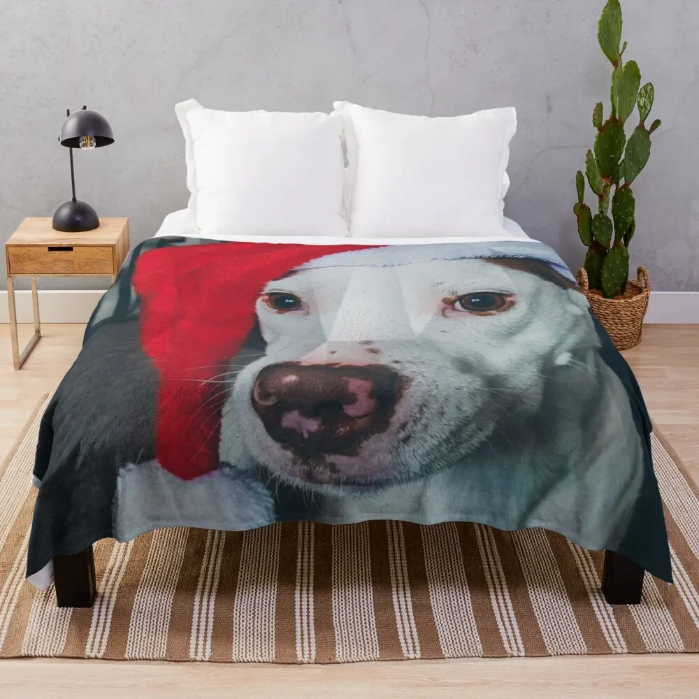 

Pitbull Santa Hat Throw Blanket Stuffeds Tourist Nap Softest Blankets