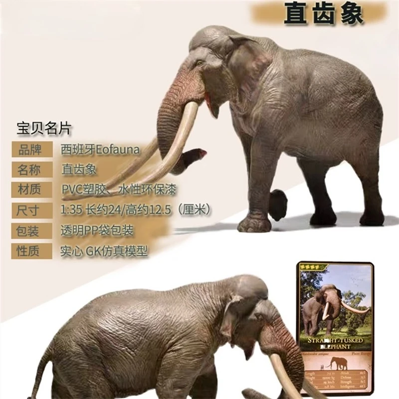 

Atlas Southern Giant, Драко, Мамонт, Прямой зуб, Горячая точка