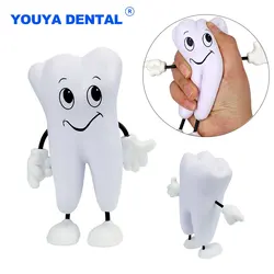 1pcs Teeth Shape Model Soft PU Foam Model Slow Tooth Model  Rebound Clinic Decoration Cartoon Dentistry Material Souvenir Gift