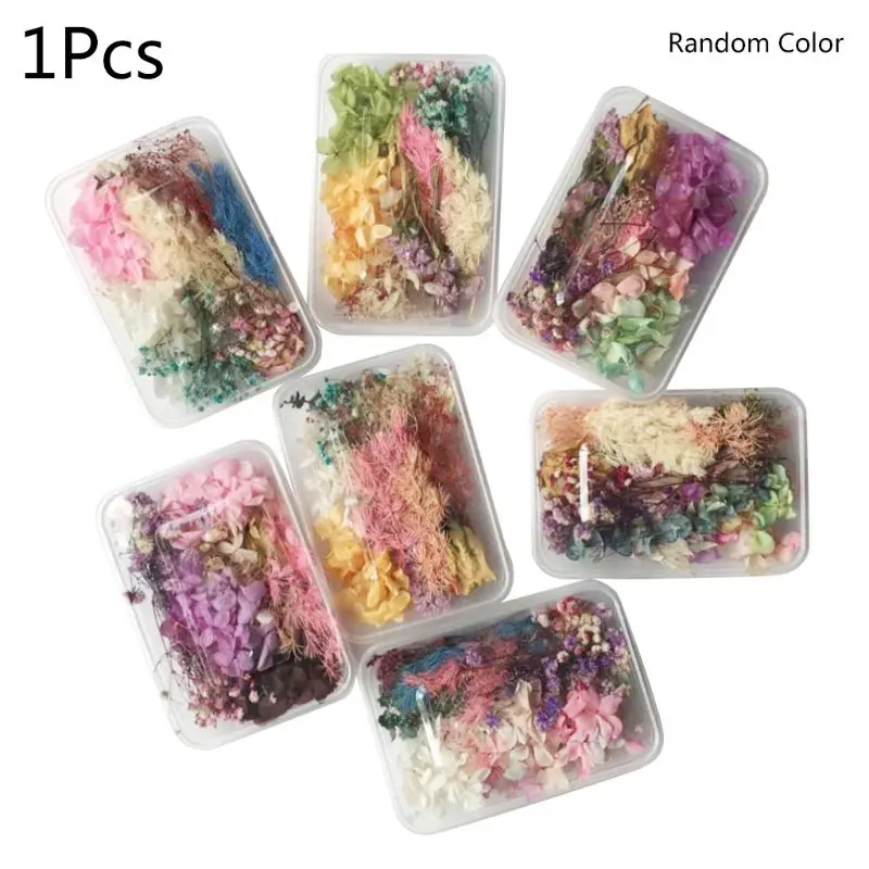 

1 Box Real Mix Dried Flowers for Resin Jewellery Dry Plants Pressed Flowers Making Craft DIY Accessories Home Use D5QA