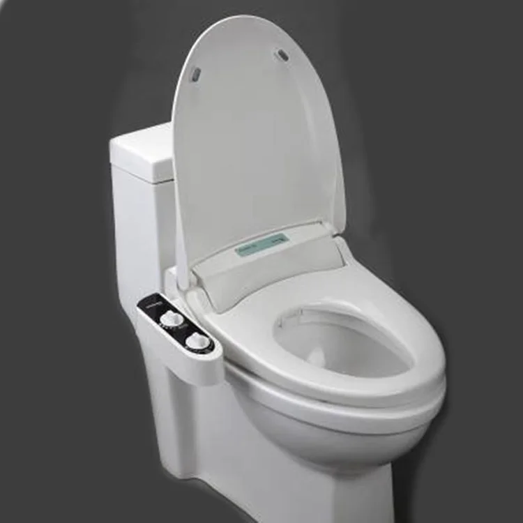 Cold Water Non Electric Toilet Seat Bidet With Cover Double Nozzle Bidet With Self Cleaning Nozzle