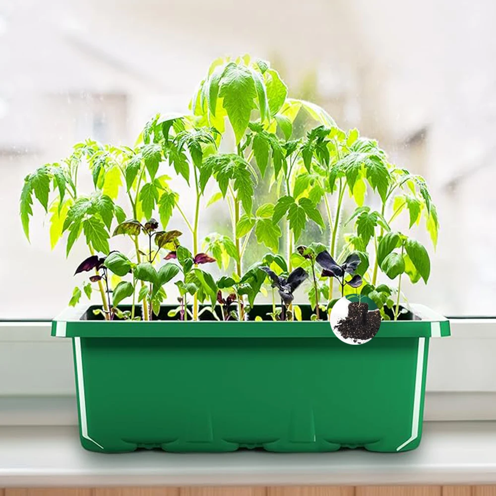 جهاز تناسخ النباتات البلاستيكية مكون من 12 خلية، مجموعة صينية البذور ذات الغطاء العالي، صينية إنبات الشتلات ذات القبة العالية #2