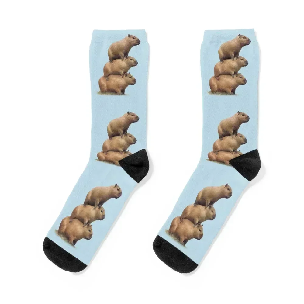 

capybara capybara Socks Wholesale Sports christmas gifts man Luxury Woman Socks Men's