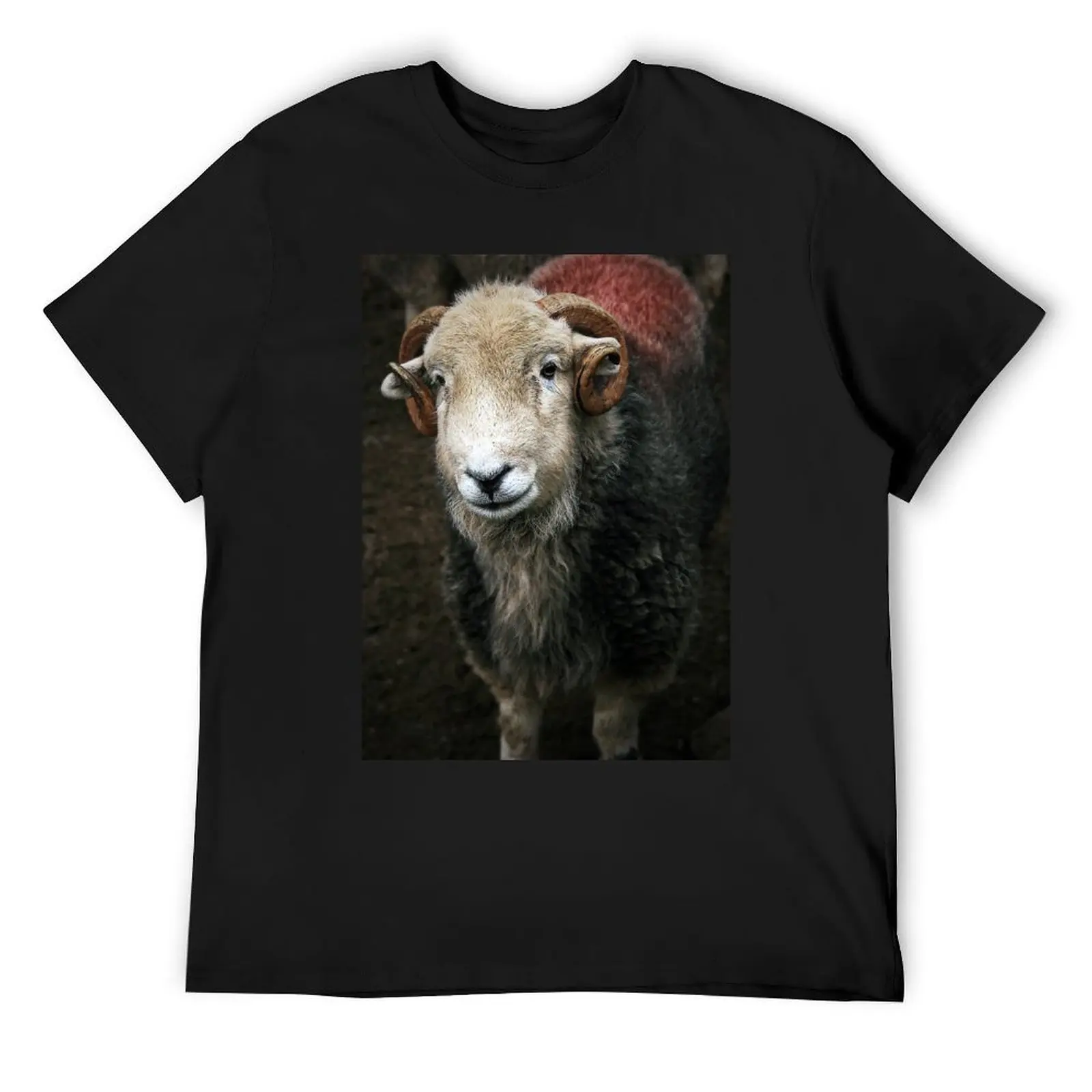 A Herdwick Ram T-Shirt summer tops hippie clothes quick-drying mens graphic t-shirts hip hop