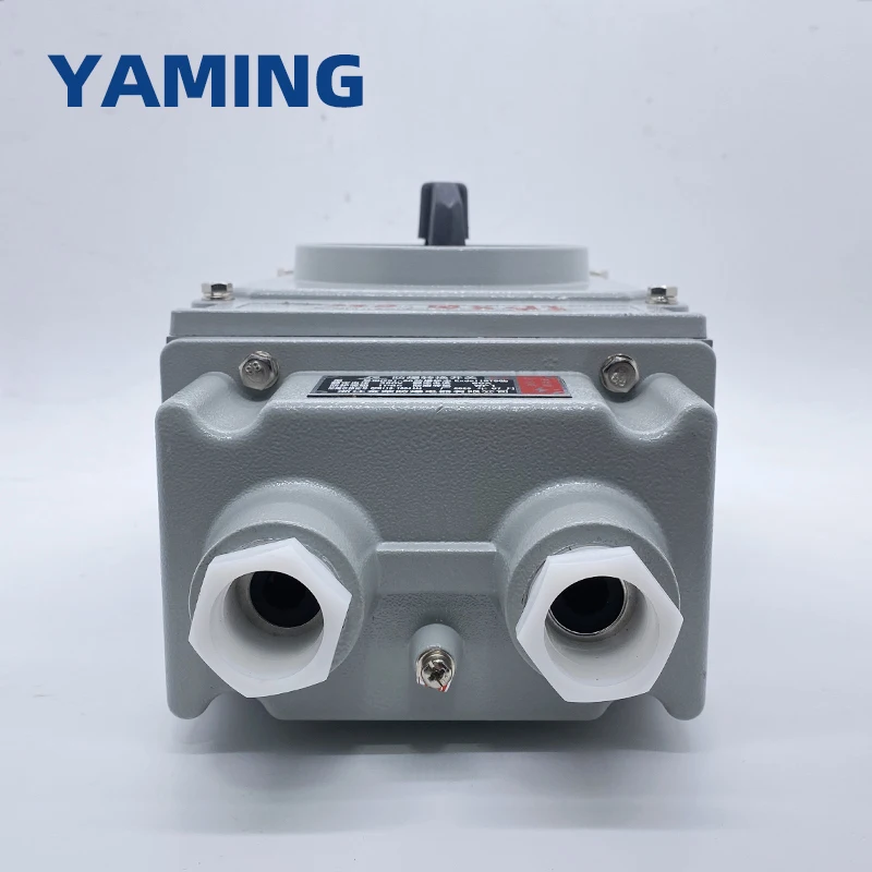 Interruptor rotativo à prova de explosão com controle de parada de partida trifásico 380V 60A de alumínio EX