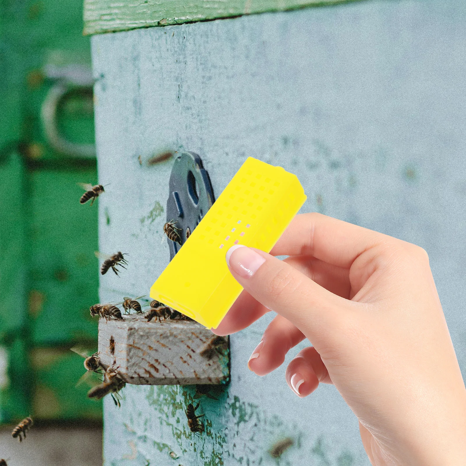 

5 pcs Yellow Plastic Bee Queen Rearing Cages Transporting Boxes Beekeeping Tools Kit For Queen Catching Protection Beehive