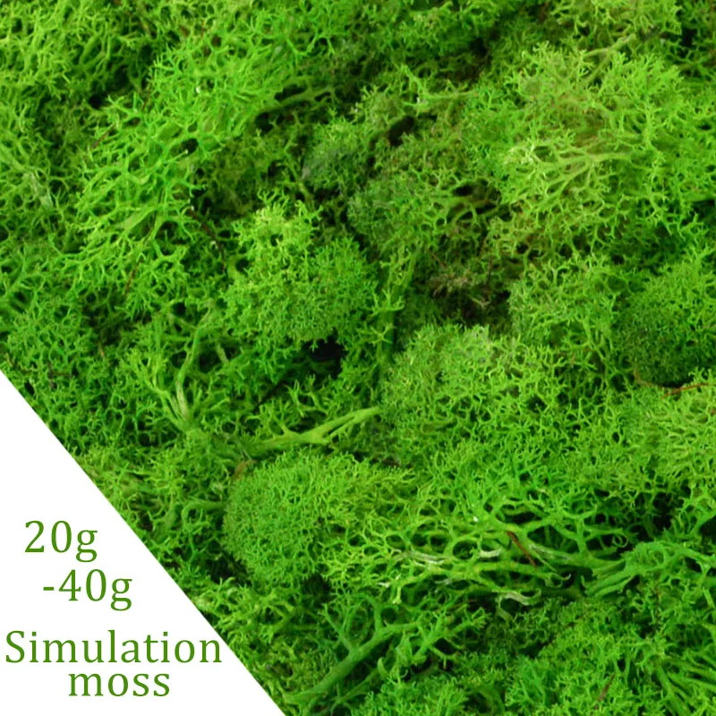 20g/40g Artificial Natural Plant Eternal Life Moss Mini Micro Landscape Decor Accessories Home Garden Ornament DIY Flower Crafts