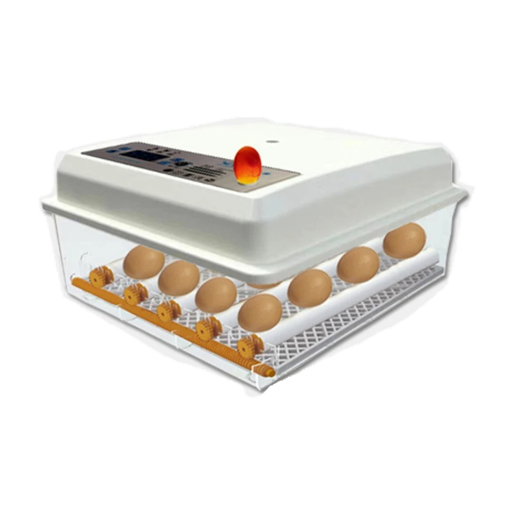 Egg Tray LCD Controller Show Humidity Sensor Temperature Sensor Various Voltage Household Micro Incubators For Chicken Bird  Emu