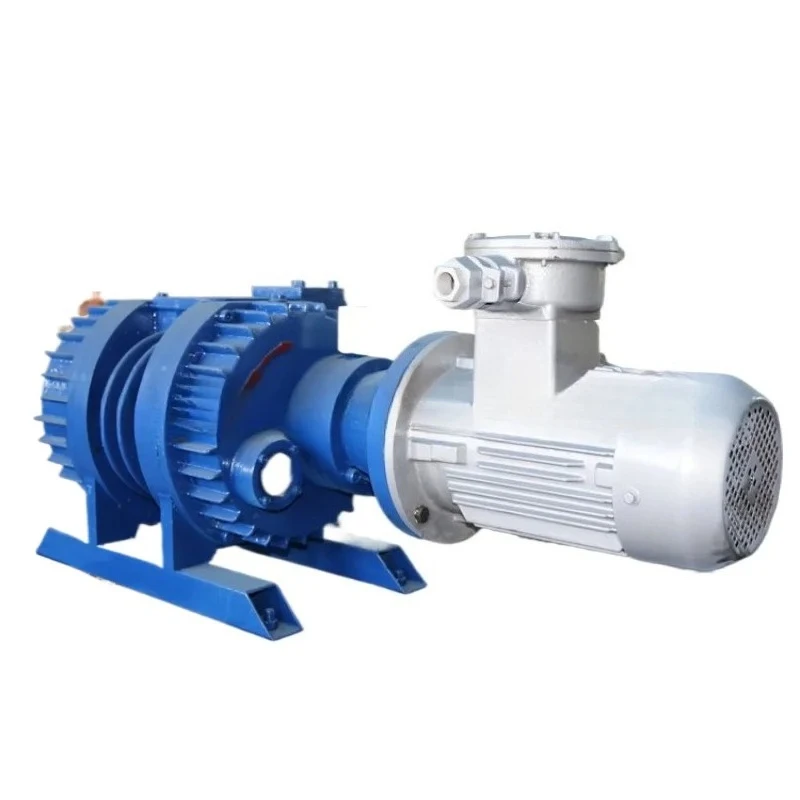 vacuum pump head booster pump