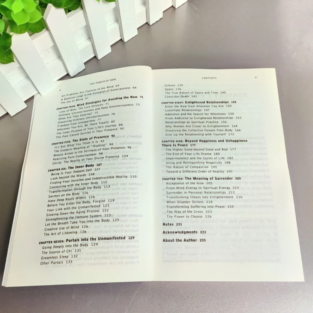 قوة الآن: كتاب فلسفي لفهم معنى وجود اللحظة الحالية والعثور على السلام الداخلي