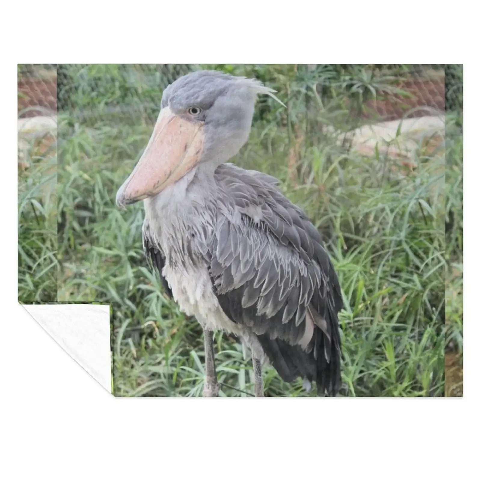 

Shoebill Throw Blanket Soft Beds Bed Furry Plaid on the sofa Blankets