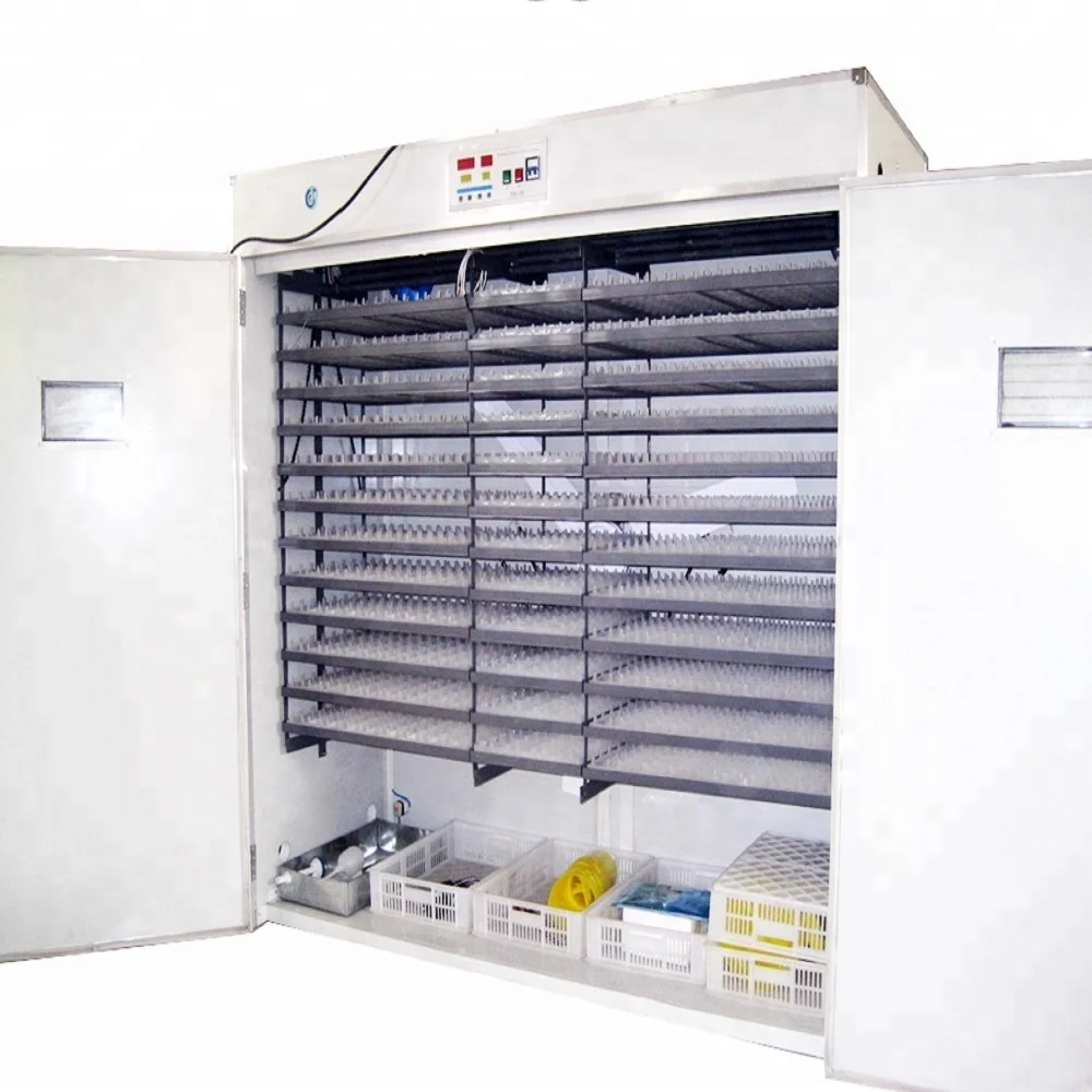 CE approved best price 5000 egg incubator / RD-5280 fully automatic chicken egg incubator