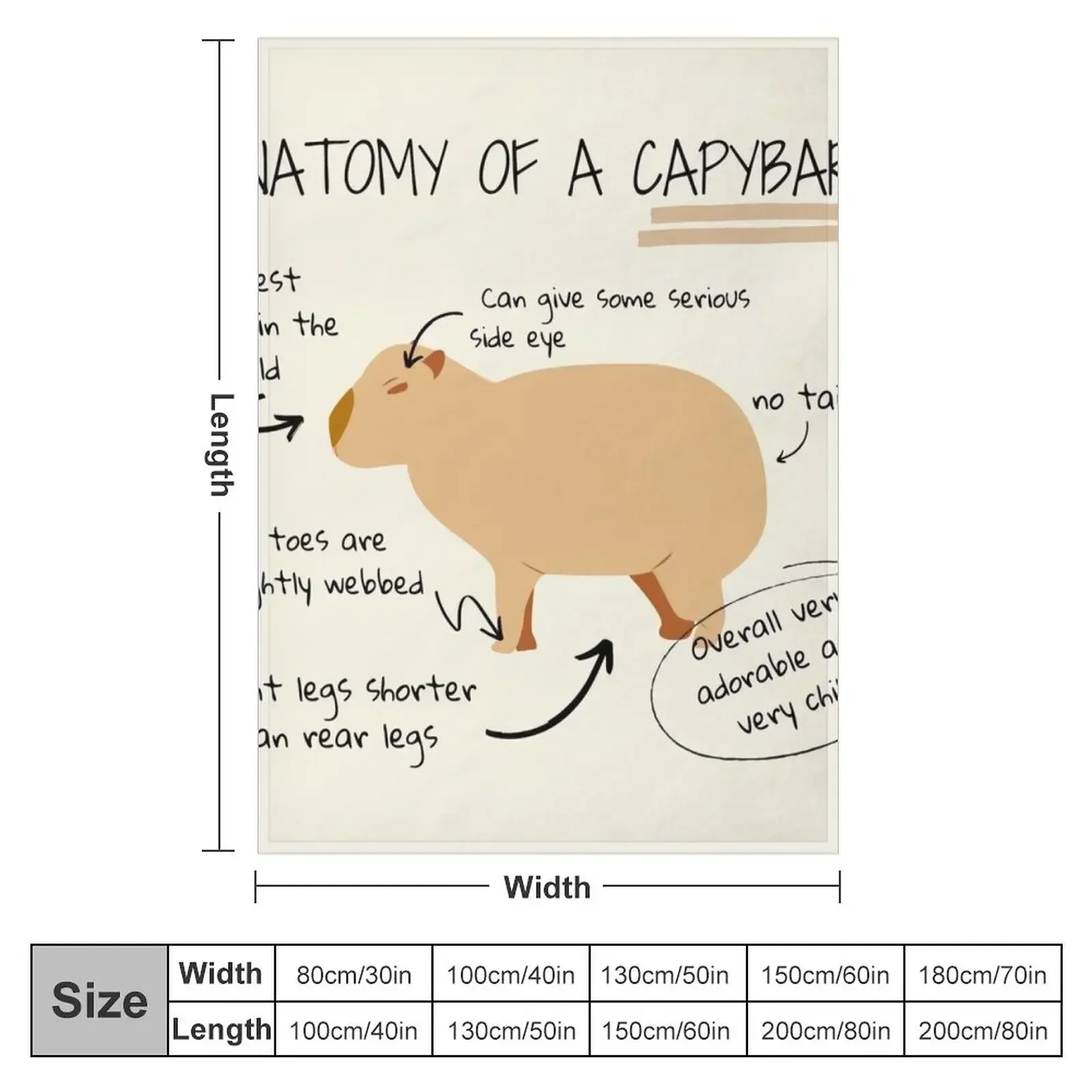 Anatomy of a capybara Throw Blanket Sofa Throw Luxury St for sofa Summer Blankets