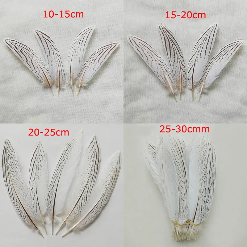 10Pcs 10-35CM Beautiful Nature Silver Pheasant Tail Feathers,Natural Decorative Feathers for Diy Carnival Costume Mask Headdress