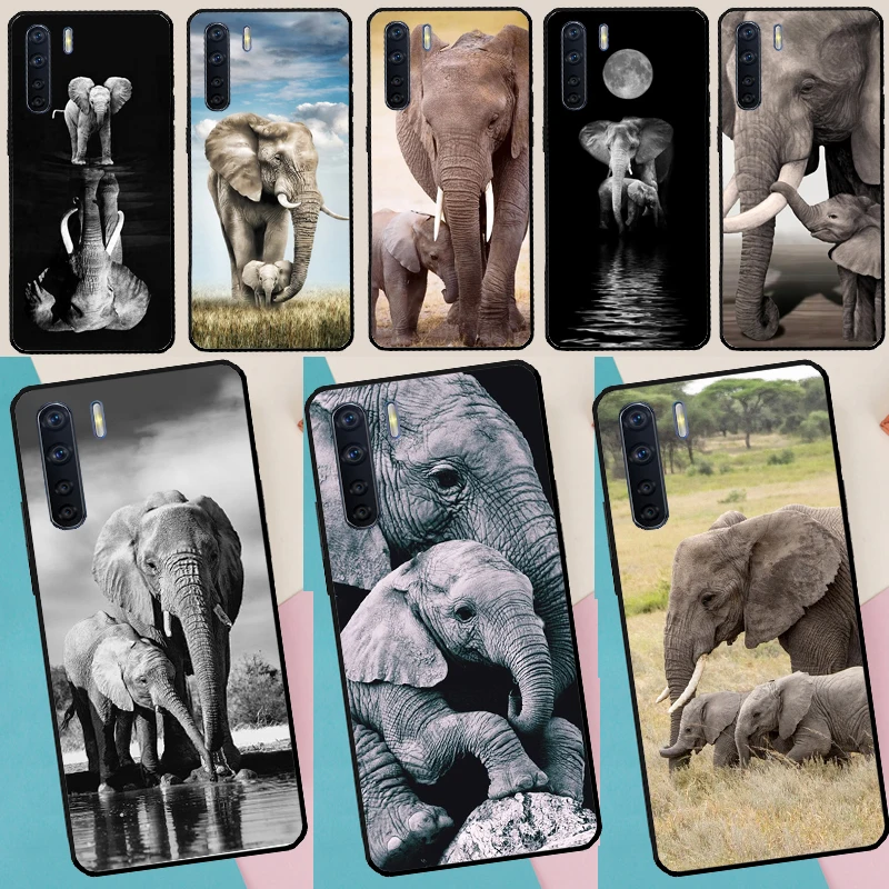 Elephant Baby Natur…