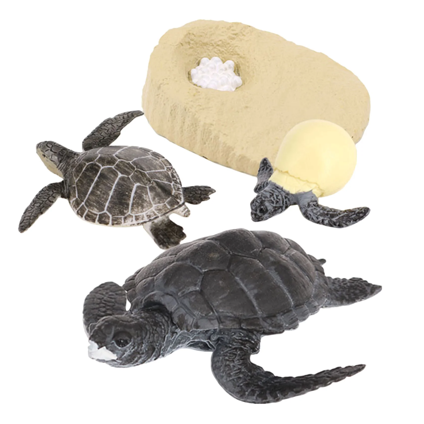 Simulation Turtle Animal Life Cycle,Turtle Animals Growth Cycle Model Animals Growth Cycle Educational Kids Toys B