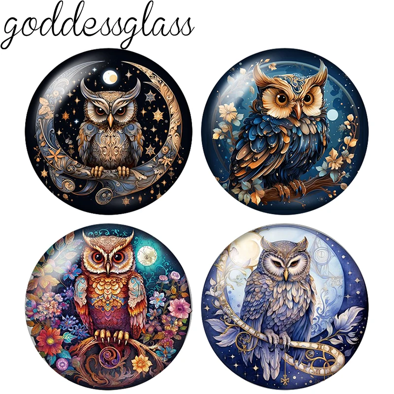 New Moon night Owl mysterious style 10pcs 12mm/18mm/20mm/25mm Round Photo glass cabochon demo flat back Making findings