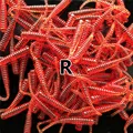 R 0040