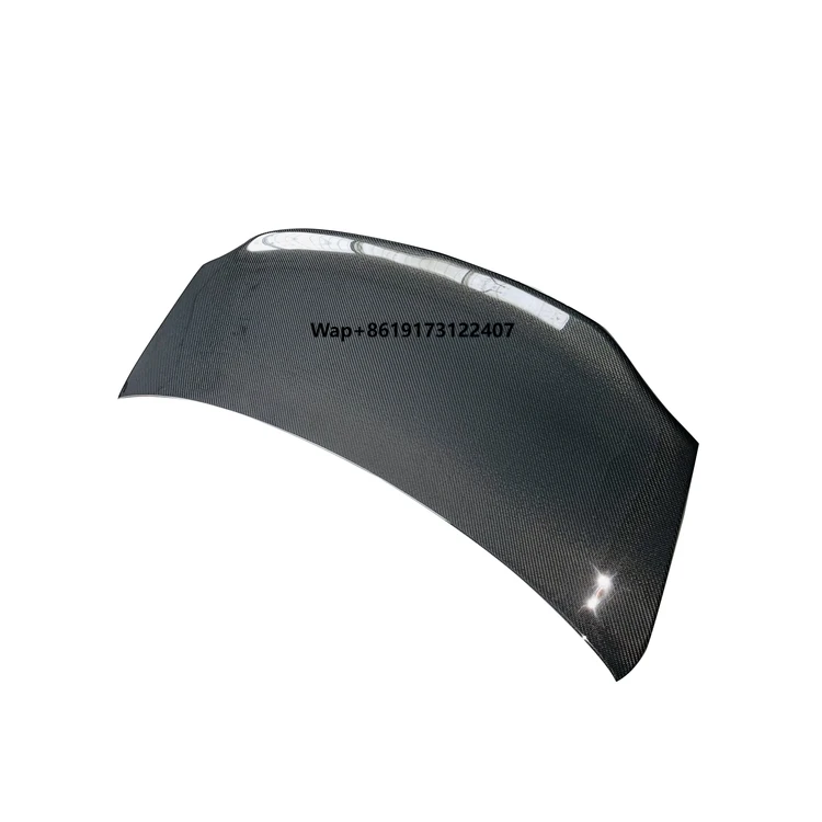 

Professional Supplier High Temperature Resistant Trunk Mini Roof Universal Rear Spoiler Wing