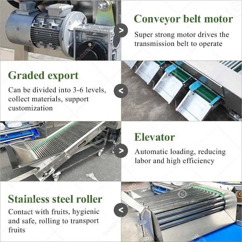 الإلكترونية الأناناس الثوم الجزرة الفاكهة فرز الصف الصف فارز غسل وآلة الصبح للخط #4