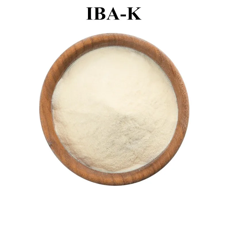 FarmReaching Ácido Indole-3-Butírico Ácido Indole Butírico Sal IBA Clonx Rizotonico IBA-K Soluble en Agua